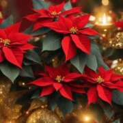 ヒメ日記 2025/12/14 10:01 投稿 りお 夜這専門発情する奥様たち 谷九店