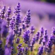 ヒメ日記 2025/12/18 10:20 投稿 りお 夜這専門発情する奥様たち 谷九店