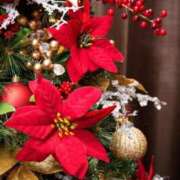 ヒメ日記 2025/12/25 10:01 投稿 りお 夜這専門発情する奥様たち 谷九店