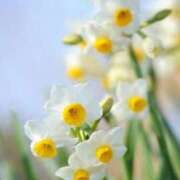 ヒメ日記 2025/12/26 10:02 投稿 りお 夜這専門発情する奥様たち 谷九店