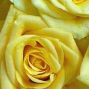 ヒメ日記 2025/12/27 09:01 投稿 りお 夜這専門発情する奥様たち 谷九店