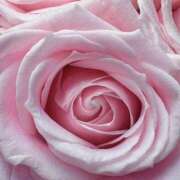 ヒメ日記 2025/12/28 09:01 投稿 りお 夜這専門発情する奥様たち 谷九店