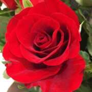 ヒメ日記 2025/12/31 09:01 投稿 りお 夜這専門発情する奥様たち 谷九店