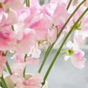 ヒメ日記 2026/01/02 10:01 投稿 りお 夜這専門発情する奥様たち 谷九店