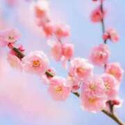 ヒメ日記 2026/01/04 10:01 投稿 りお 夜這専門発情する奥様たち 谷九店