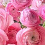 ヒメ日記 2026/01/05 10:01 投稿 りお 夜這専門発情する奥様たち 谷九店