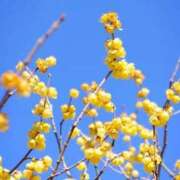 ヒメ日記 2026/01/06 10:03 投稿 りお 夜這専門発情する奥様たち 谷九店