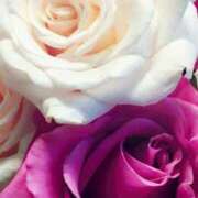 ヒメ日記 2026/01/10 09:01 投稿 りお 夜這専門発情する奥様たち 谷九店