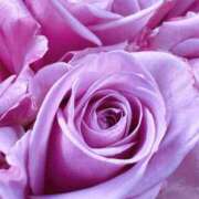 ヒメ日記 2026/01/11 09:01 投稿 りお 夜這専門発情する奥様たち 谷九店