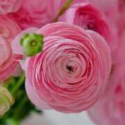 ヒメ日記 2026/01/15 10:01 投稿 りお 夜這専門発情する奥様たち 谷九店