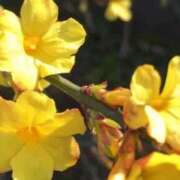 ヒメ日記 2026/01/16 10:01 投稿 りお 夜這専門発情する奥様たち 谷九店