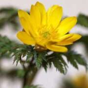 ヒメ日記 2026/01/18 09:03 投稿 りお 夜這専門発情する奥様たち 谷九店