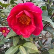 ヒメ日記 2026/01/19 10:11 投稿 りお 夜這専門発情する奥様たち 谷九店