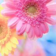 ヒメ日記 2026/01/21 10:01 投稿 りお 夜這専門発情する奥様たち 谷九店