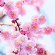 ヒメ日記 2026/01/23 10:01 投稿 りお 夜這専門発情する奥様たち 谷九店