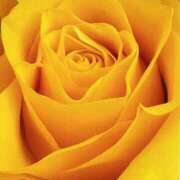 ヒメ日記 2026/01/24 09:01 投稿 りお 夜這専門発情する奥様たち 谷九店