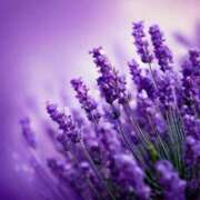 ヒメ日記 2026/01/26 10:02 投稿 りお 夜這専門発情する奥様たち 谷九店