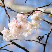 ヒメ日記 2026/01/27 10:09 投稿 りお 夜這専門発情する奥様たち 谷九店