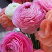 ヒメ日記 2026/01/29 10:11 投稿 りお 夜這専門発情する奥様たち 谷九店