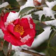 ヒメ日記 2026/01/30 10:01 投稿 りお 夜這専門発情する奥様たち 谷九店