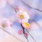 ヒメ日記 2026/02/01 10:01 投稿 りお 夜這専門発情する奥様たち 谷九店