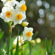 ヒメ日記 2026/02/03 10:07 投稿 りお 夜這専門発情する奥様たち 谷九店