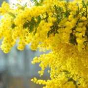 ヒメ日記 2026/02/05 09:01 投稿 りお 夜這専門発情する奥様たち 谷九店