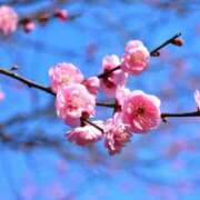 ヒメ日記 2026/02/08 10:01 投稿 りお 夜這専門発情する奥様たち 谷九店