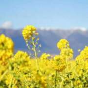 ヒメ日記 2026/02/09 10:01 投稿 りお 夜這専門発情する奥様たち 谷九店