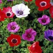 ヒメ日記 2026/02/10 10:11 投稿 りお 夜這専門発情する奥様たち 谷九店