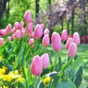 ヒメ日記 2026/02/11 10:01 投稿 りお 夜這専門発情する奥様たち 谷九店