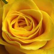 ヒメ日記 2026/02/14 09:11 投稿 りお 夜這専門発情する奥様たち 谷九店