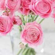 ヒメ日記 2026/02/15 10:01 投稿 りお 夜這専門発情する奥様たち 谷九店