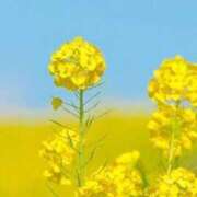 ヒメ日記 2026/02/16 10:18 投稿 りお 夜這専門発情する奥様たち 谷九店