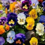 ヒメ日記 2026/02/17 10:18 投稿 りお 夜這専門発情する奥様たち 谷九店