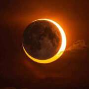 ヒメ日記 2026/02/17 10:21 投稿 りお 夜這専門発情する奥様たち 谷九店