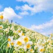 ヒメ日記 2026/02/18 10:11 投稿 りお 夜這専門発情する奥様たち 谷九店