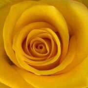 ヒメ日記 2026/02/19 09:02 投稿 りお 夜這専門発情する奥様たち 谷九店