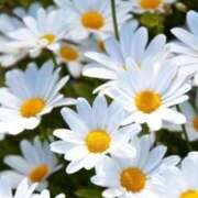 ヒメ日記 2026/02/20 10:01 投稿 りお 夜這専門発情する奥様たち 谷九店