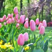 ヒメ日記 2026/02/21 10:06 投稿 りお 夜這専門発情する奥様たち 谷九店