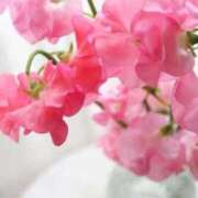 ヒメ日記 2026/02/23 10:01 投稿 りお 夜這専門発情する奥様たち 谷九店