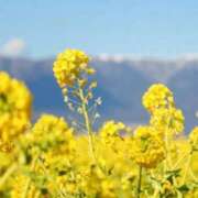 ヒメ日記 2026/02/24 10:01 投稿 りお 夜這専門発情する奥様たち 谷九店