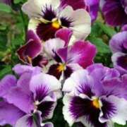 ヒメ日記 2026/02/25 10:01 投稿 りお 夜這専門発情する奥様たち 谷九店