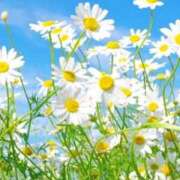 ヒメ日記 2026/02/26 10:01 投稿 りお 夜這専門発情する奥様たち 谷九店