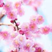 りお 2月のお花 夜這専門発情する奥様たち 谷九店