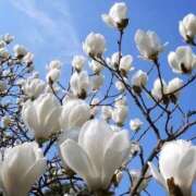 ヒメ日記 2026/03/02 10:01 投稿 りお 夜這専門発情する奥様たち 谷九店