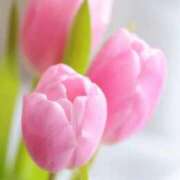 ヒメ日記 2026/03/04 10:01 投稿 りお 夜這専門発情する奥様たち 谷九店