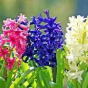 ヒメ日記 2026/03/05 10:01 投稿 りお 夜這専門発情する奥様たち 谷九店