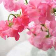 ヒメ日記 2026/03/06 10:01 投稿 りお 夜這専門発情する奥様たち 谷九店