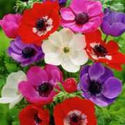 ヒメ日記 2026/03/09 10:01 投稿 りお 夜這専門発情する奥様たち 谷九店